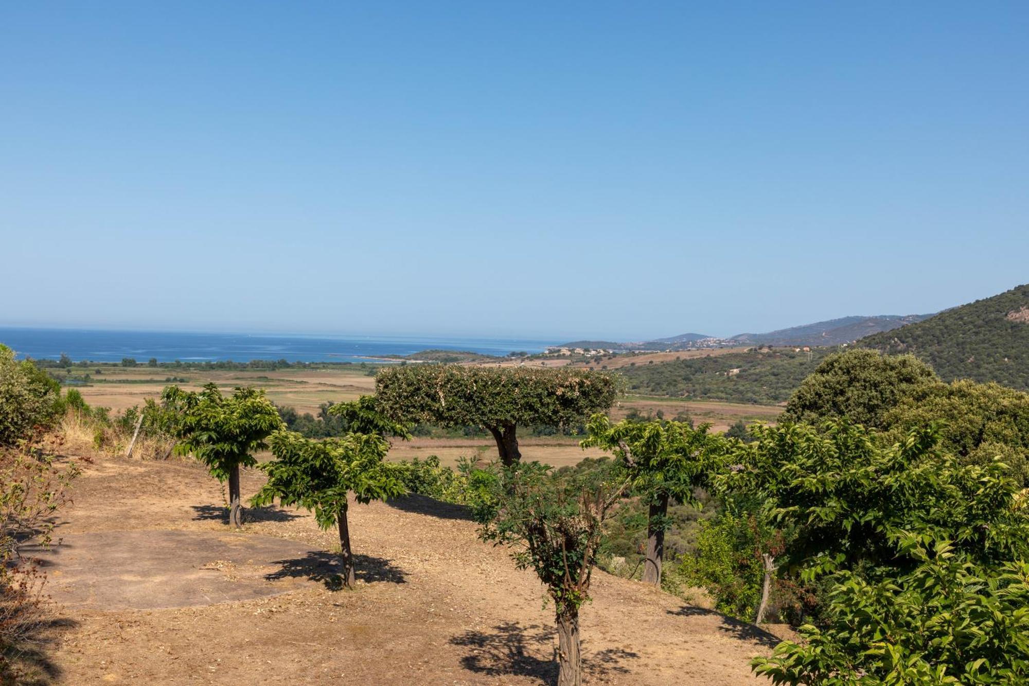 Camping Les Couchants Casaglione Kültér fotó